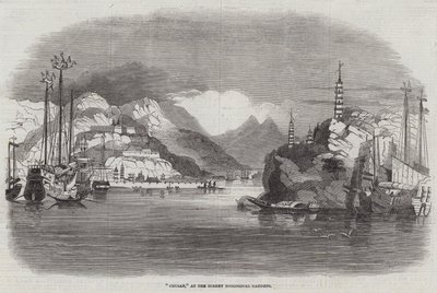 Chusan, Surrey Hayvanat Bahçeleri